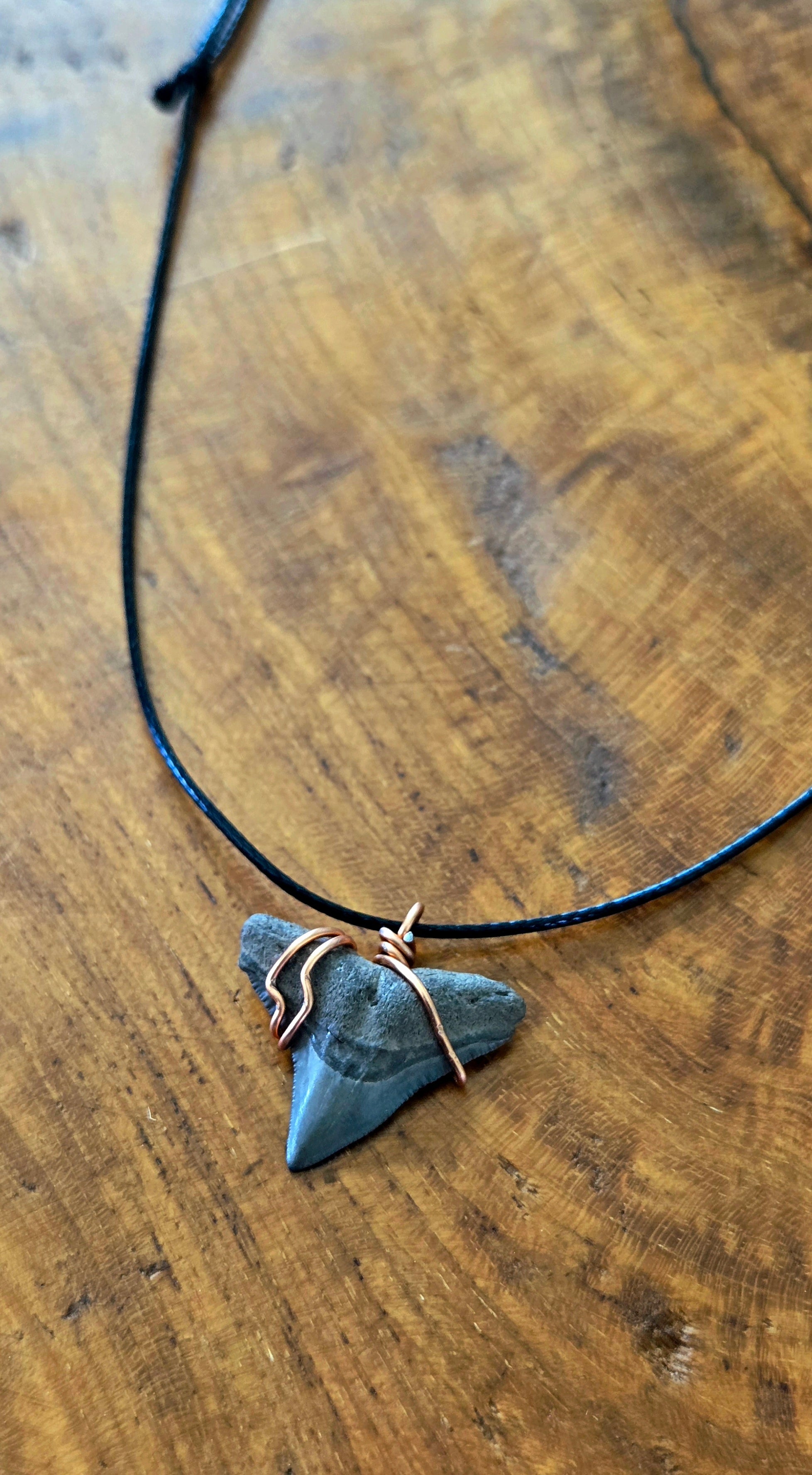 Fossil Shark Tooth Necklace Adjustable Cord