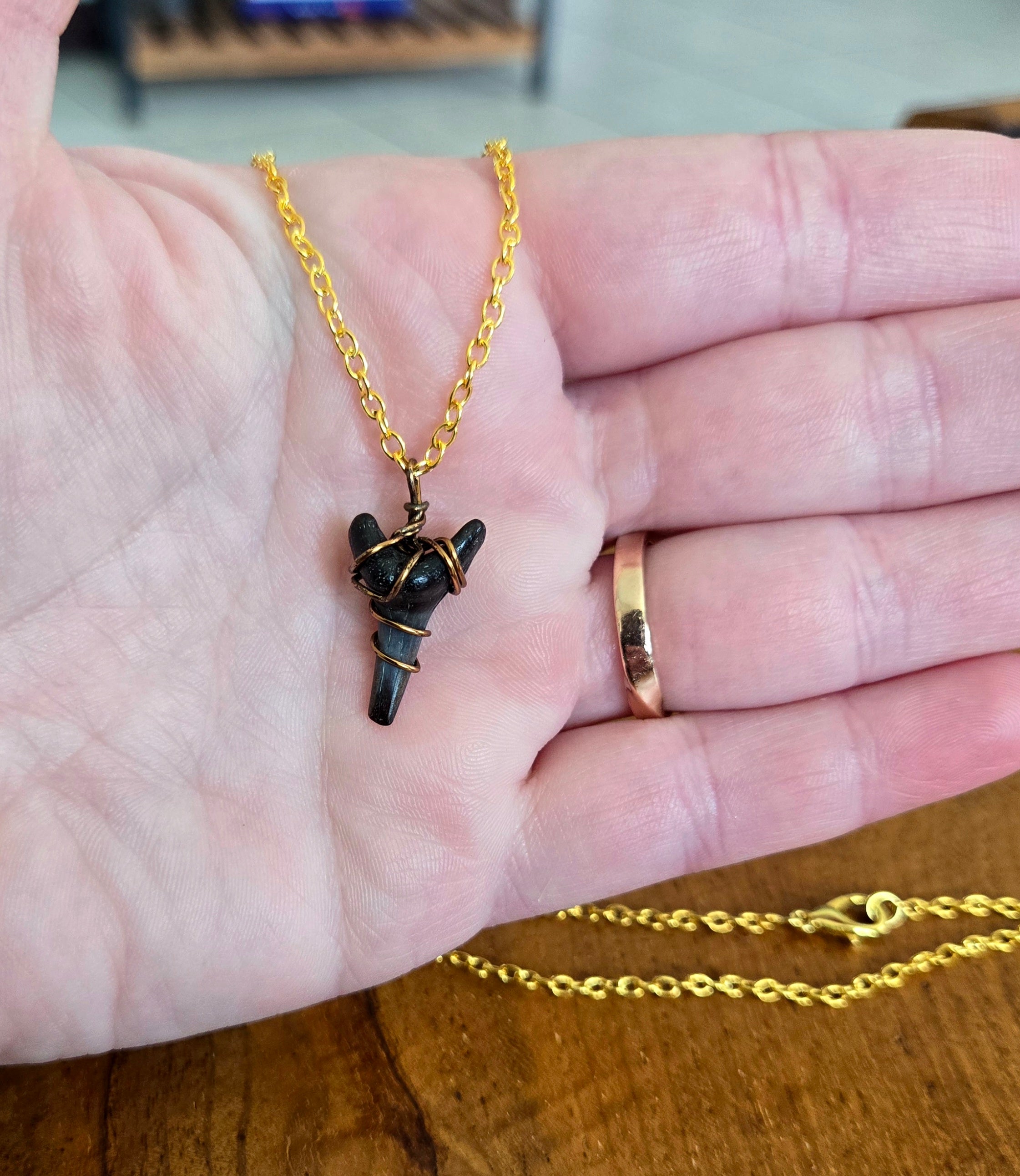Fossil Shark Tooth Necklace 21" Chain