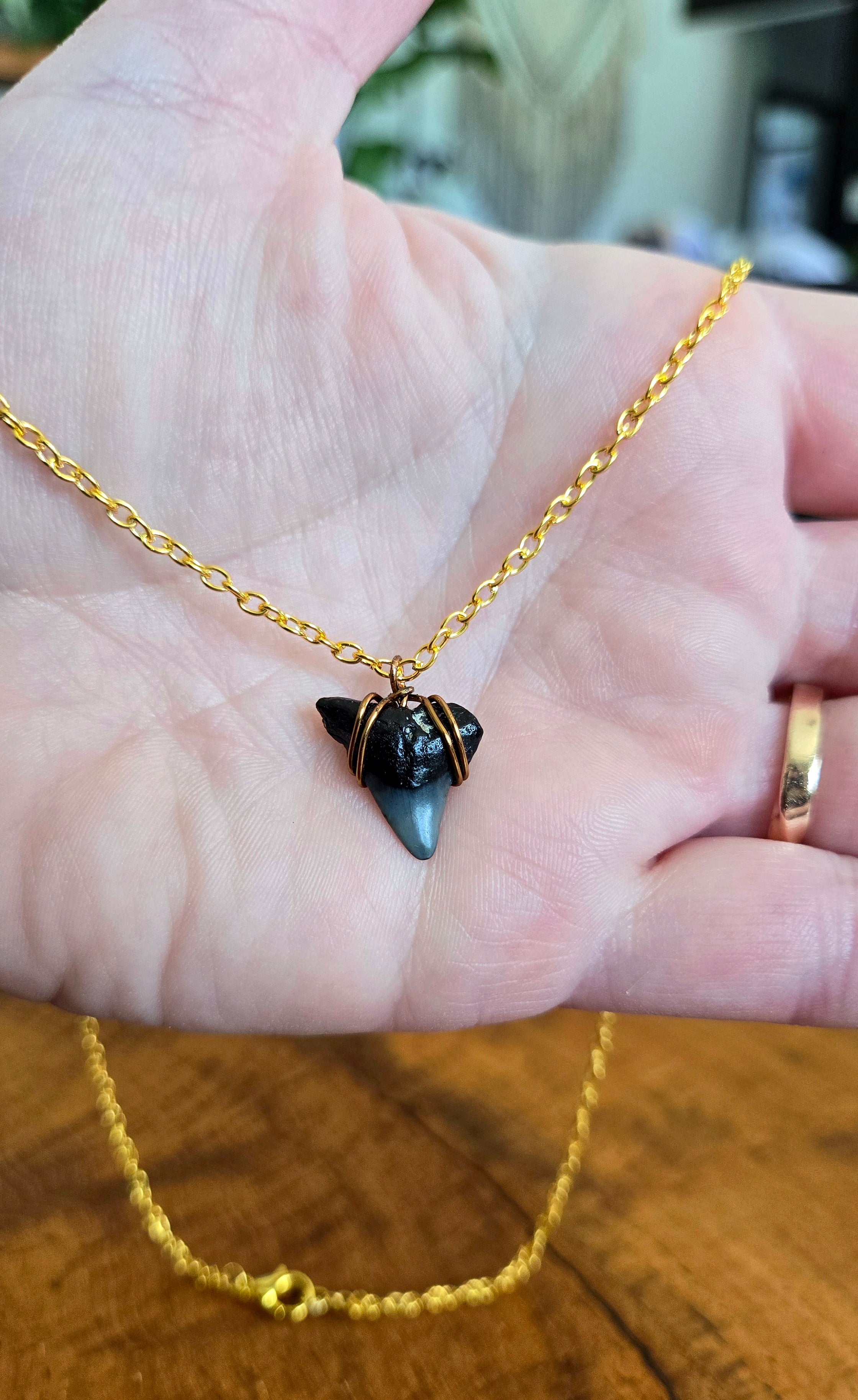 Fossil Shark Tooth Necklace 22.5" Chain