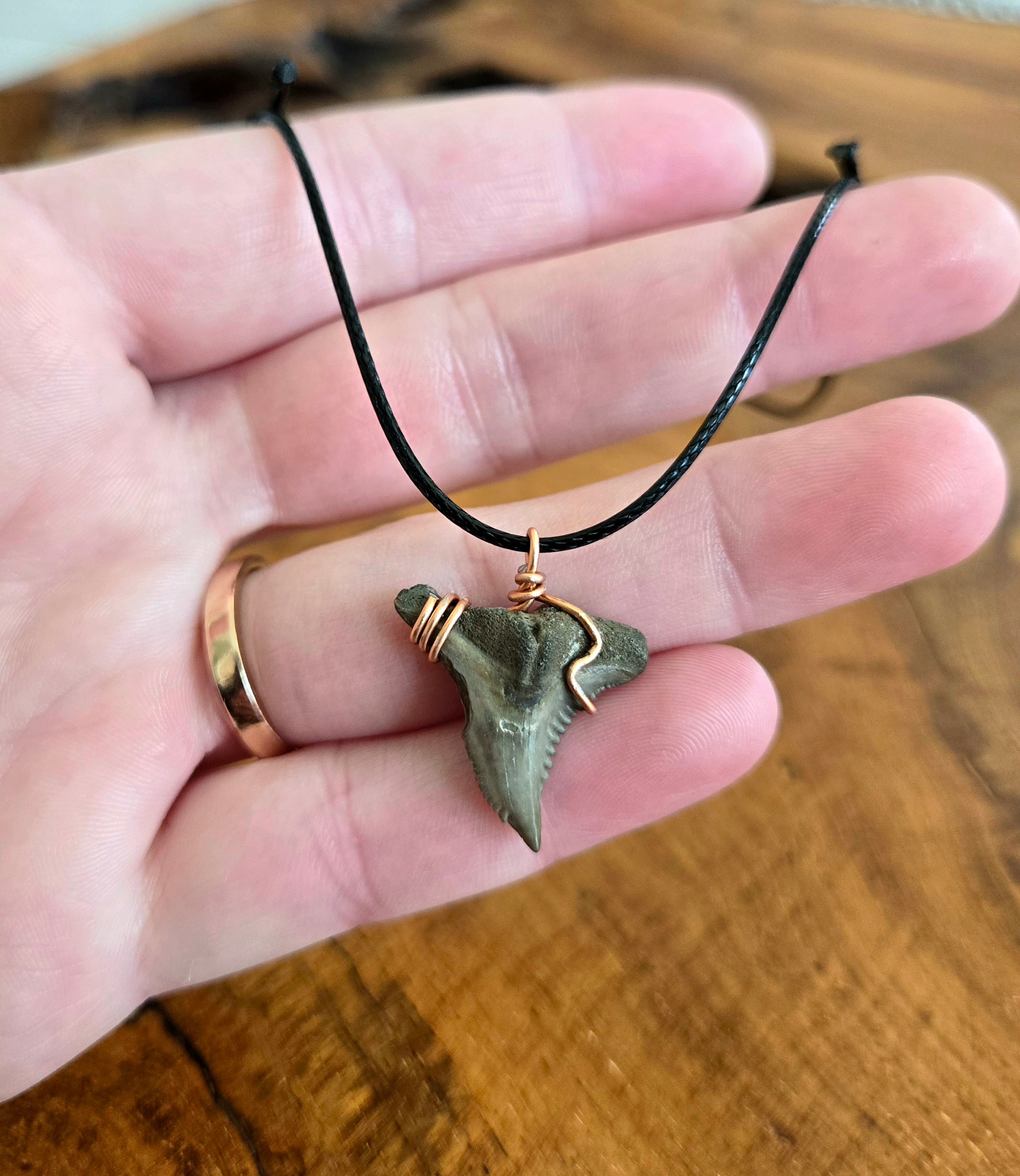 Fossil Shark Tooth Necklace Adjustable Cord