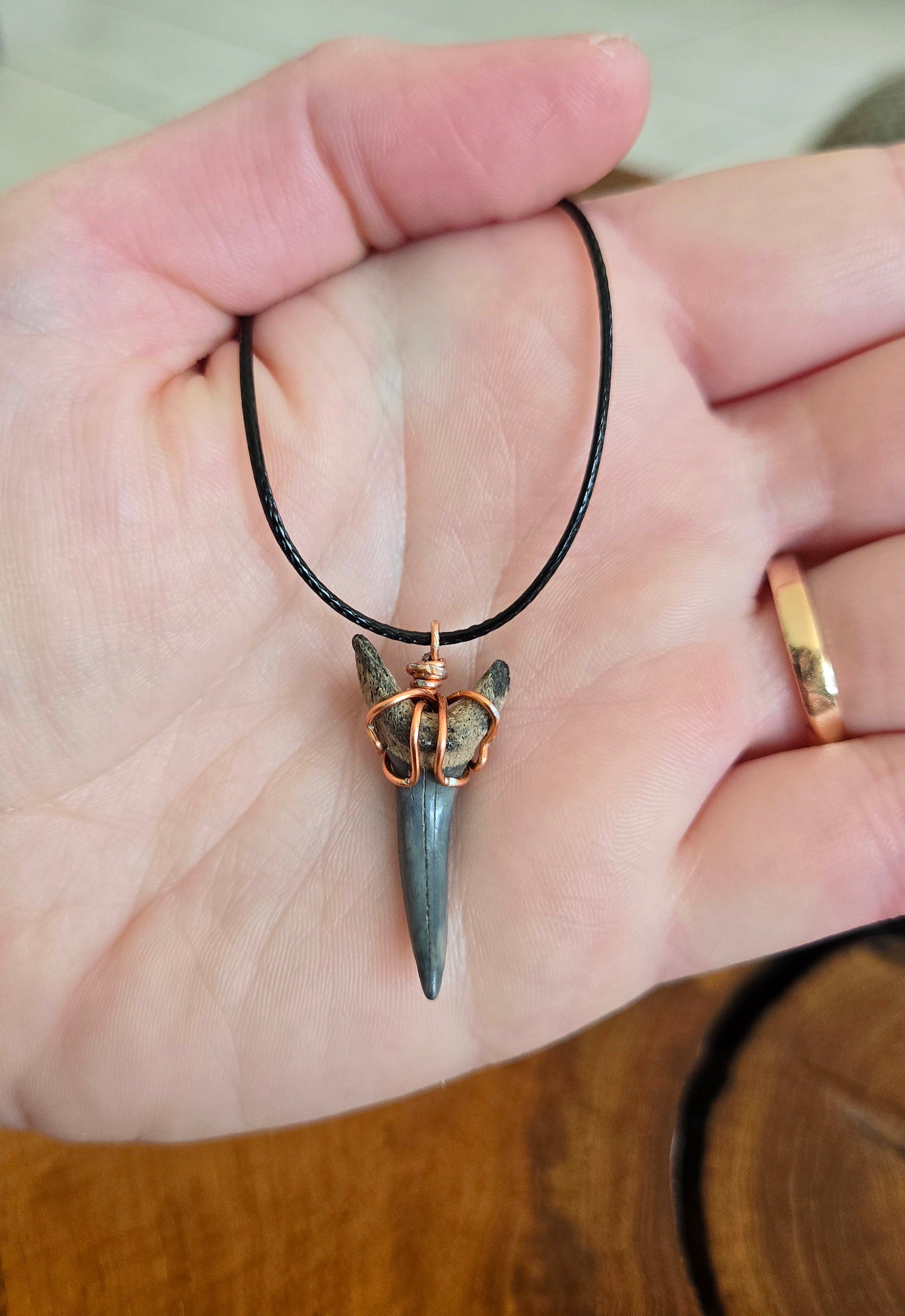 Fossil Shark Tooth Necklace Adjustable Cord