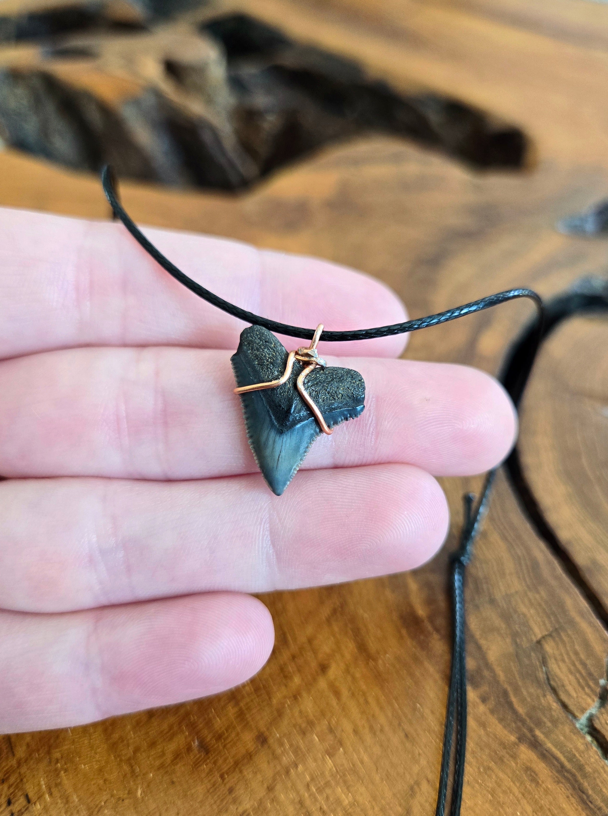 Fossil Shark Tooth Necklace Adjustable Cord