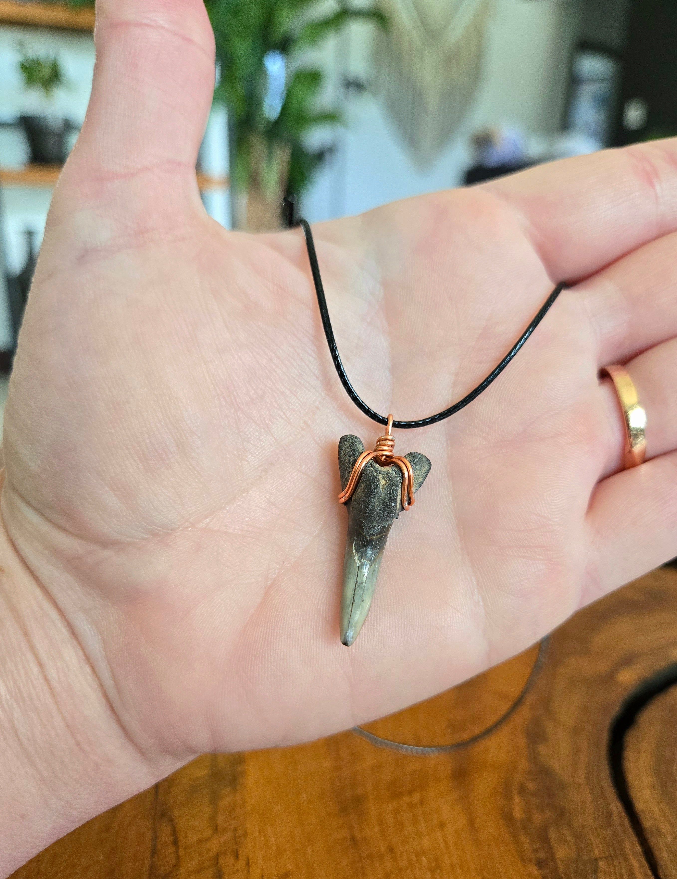 Fossil Shark Tooth Necklace Adjustable Cord