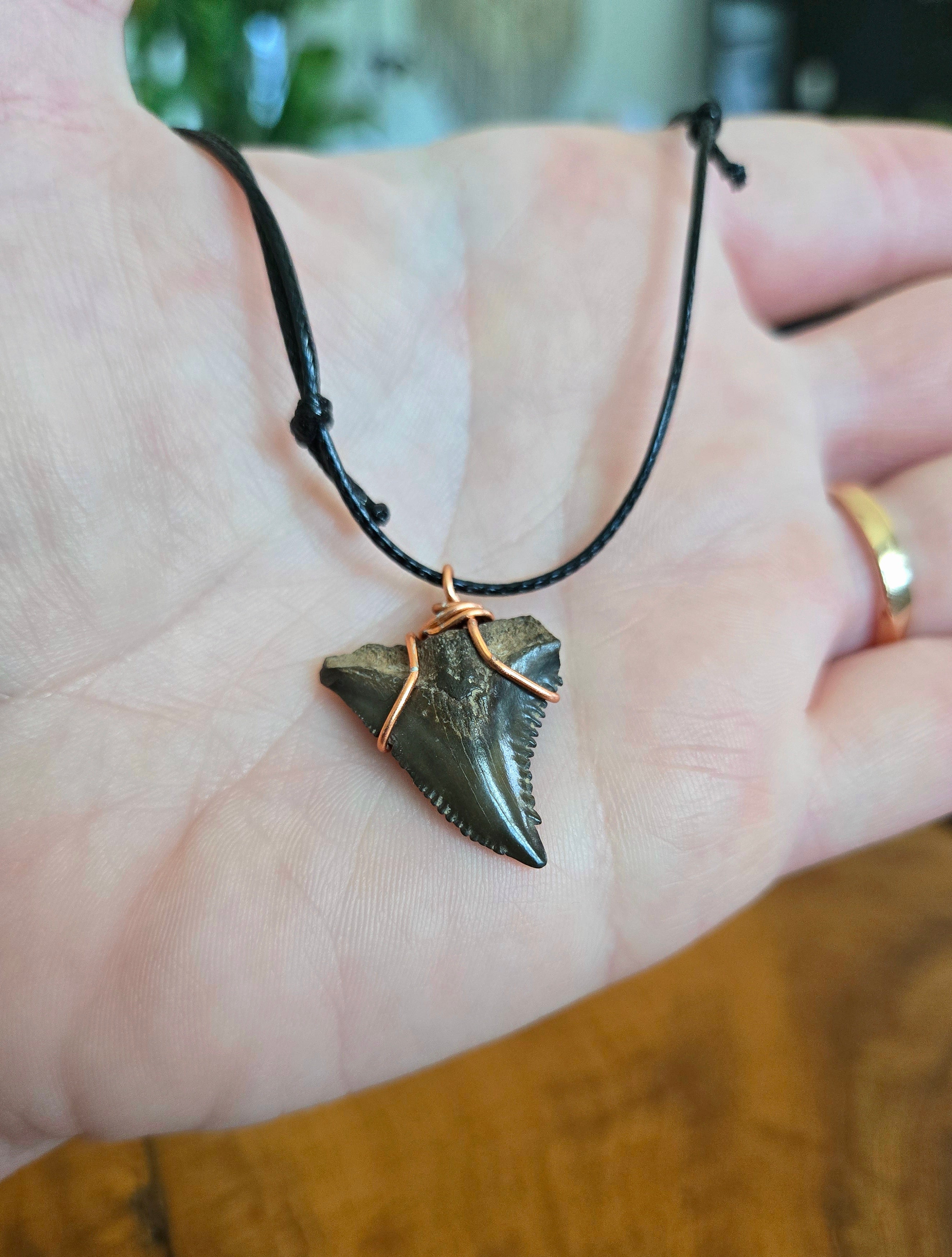 Fossil Shark Tooth Necklace Adjustable Cord