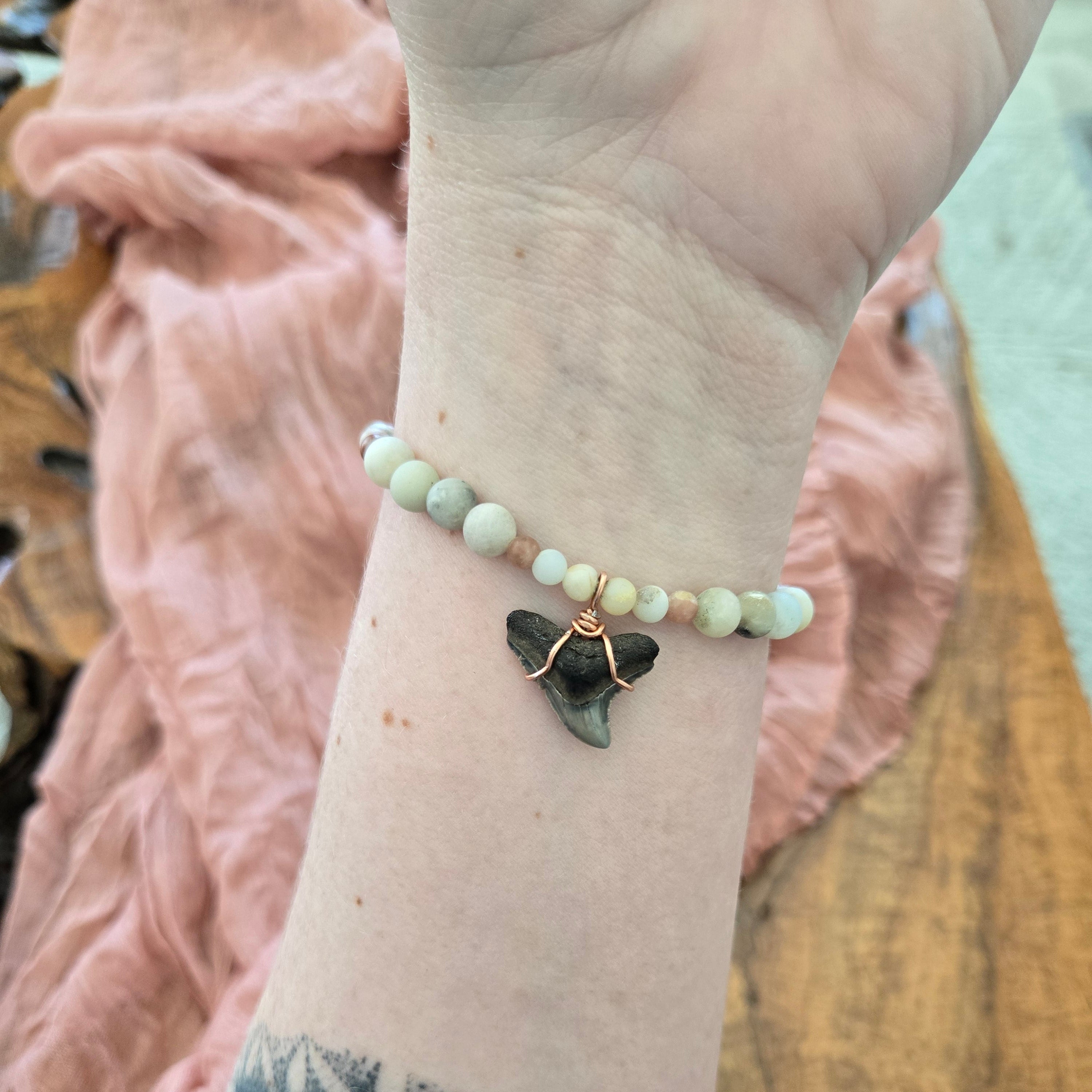 Dusky Shark Tooth Fossil Bracelet
