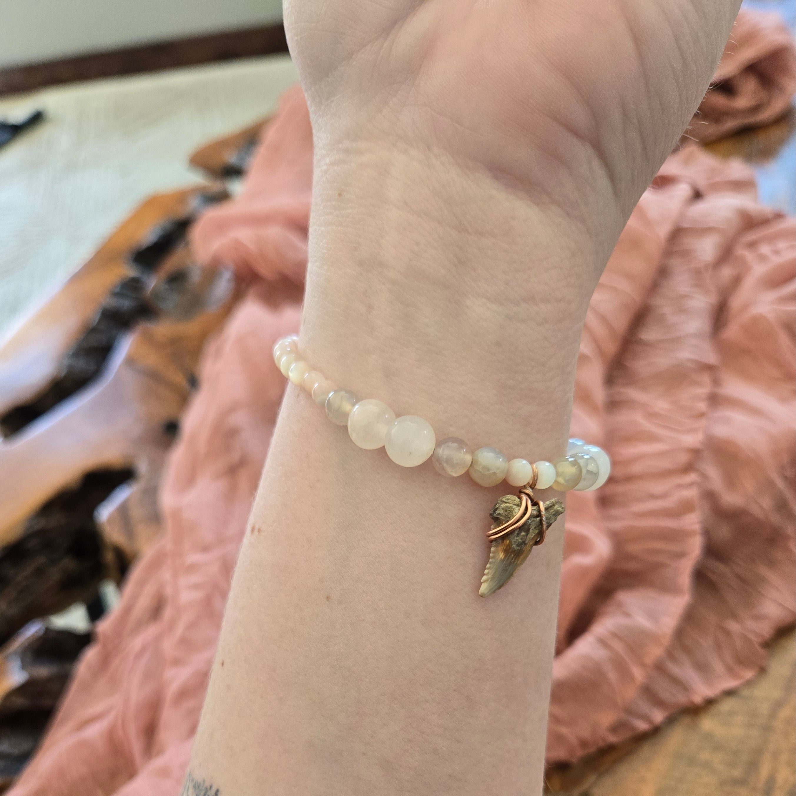 Hemipristis Serra Tooth Fossil & Agate Bracelet