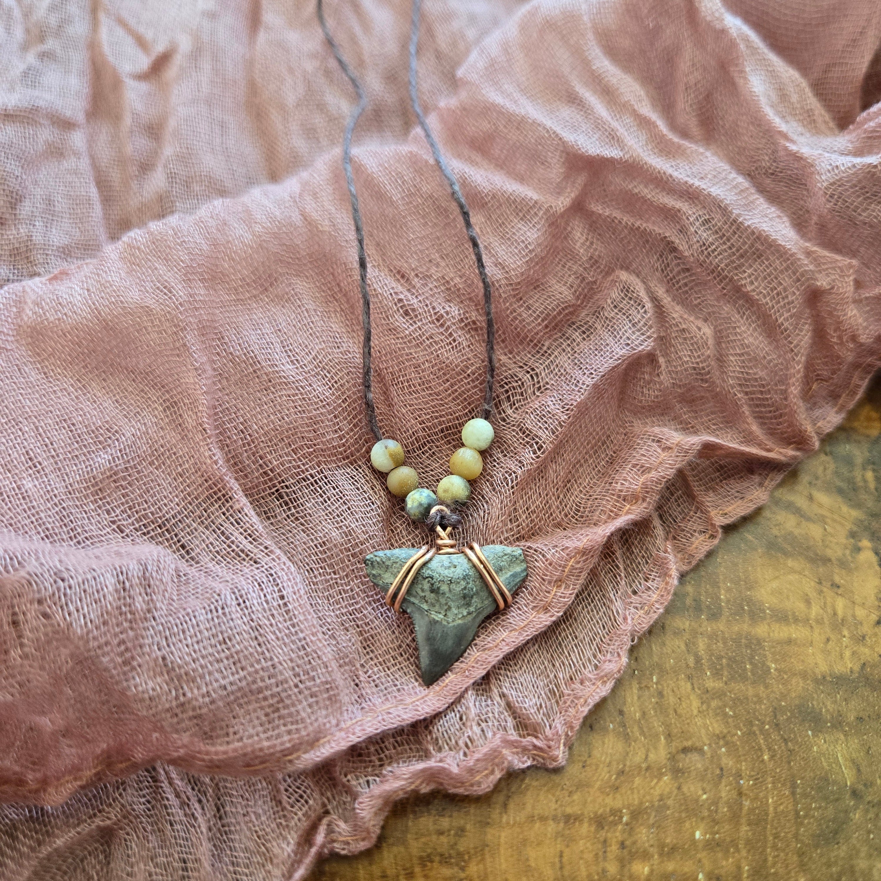 Dusky Shark Tooth Fossil Necklace 18"
