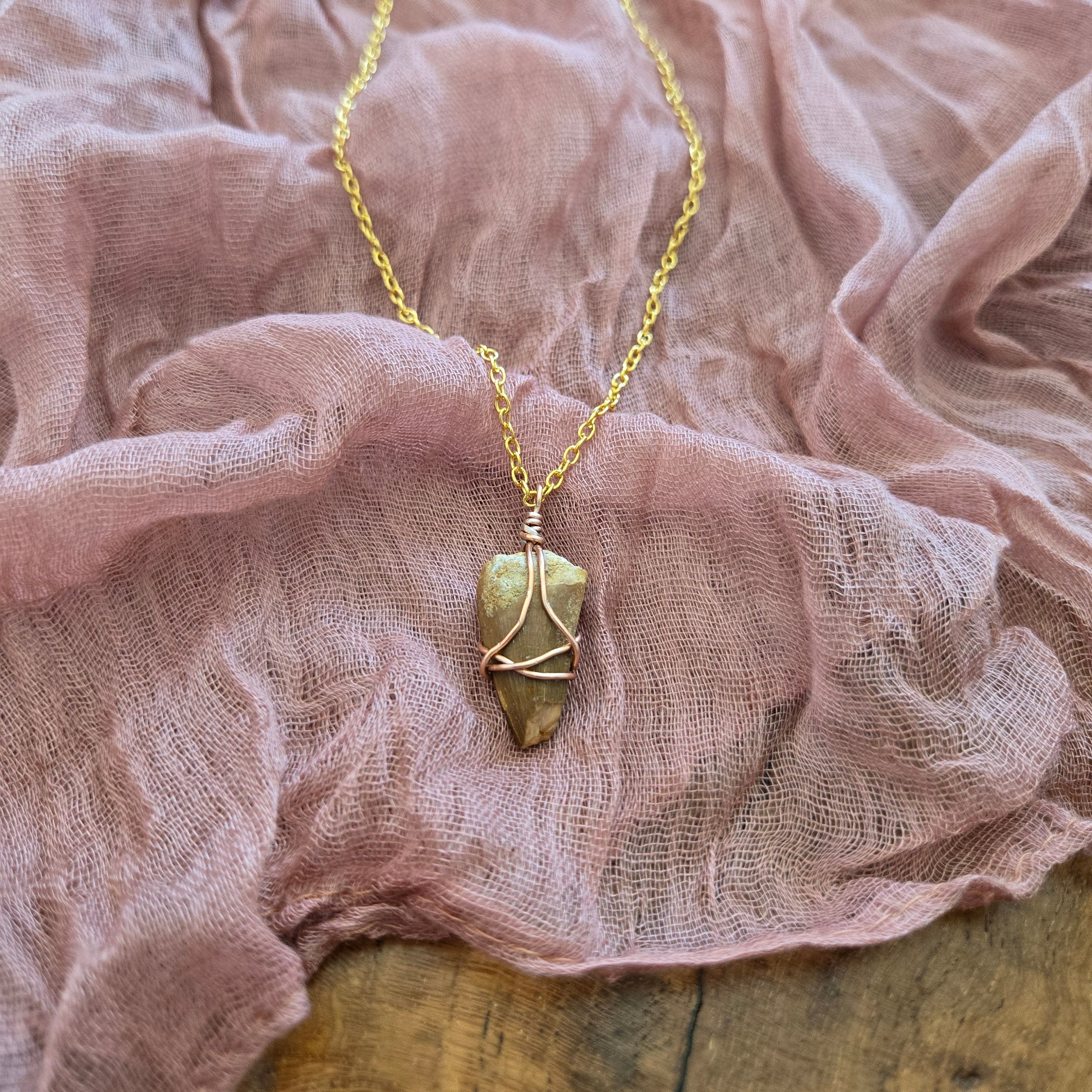Mosasaurs Tooth Fossil Necklace 19.5"