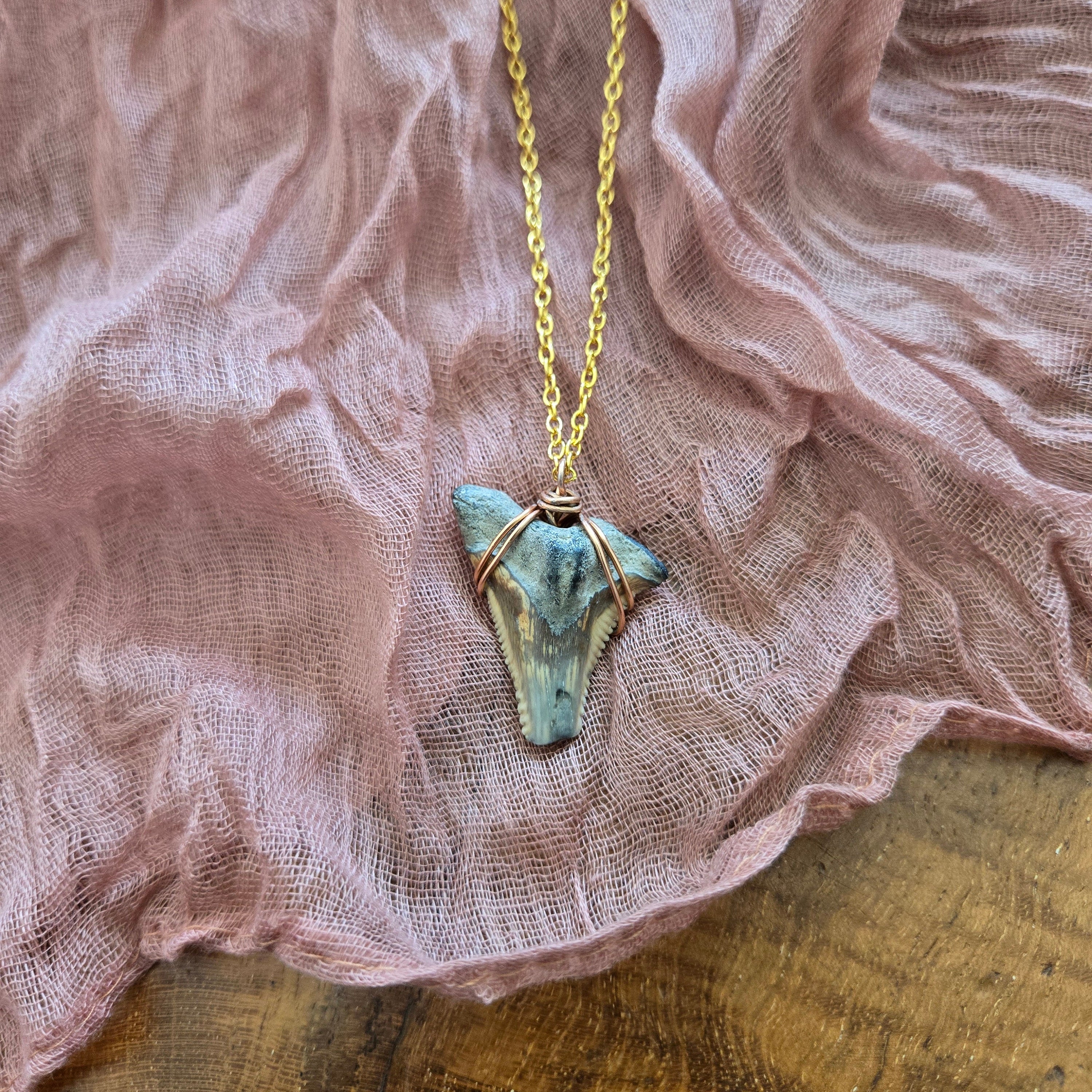 Hemipristis Serra Shark Tooth Fossil Necklace 21"