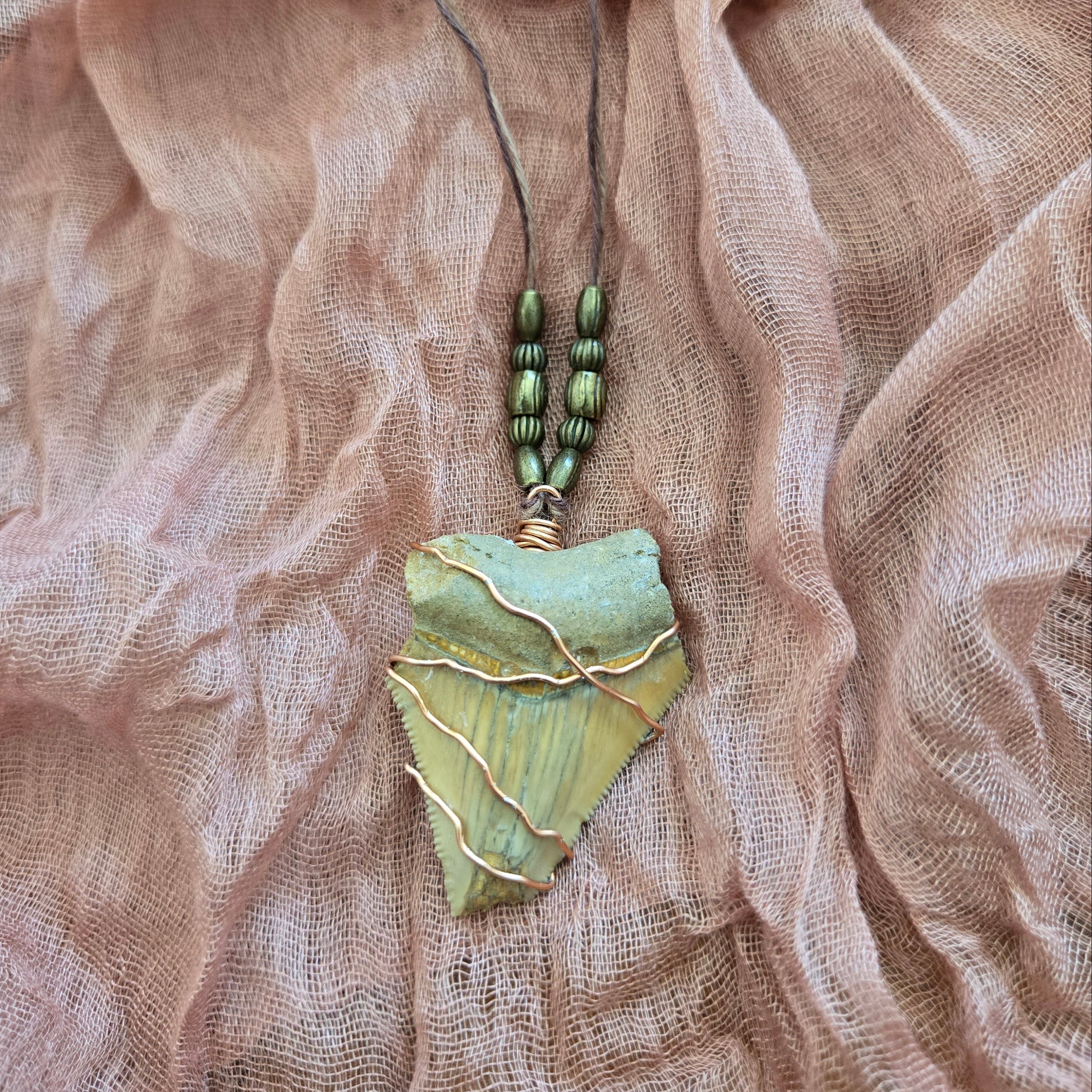 Megalodon Shark Tooth Fossil Necklace 20"
