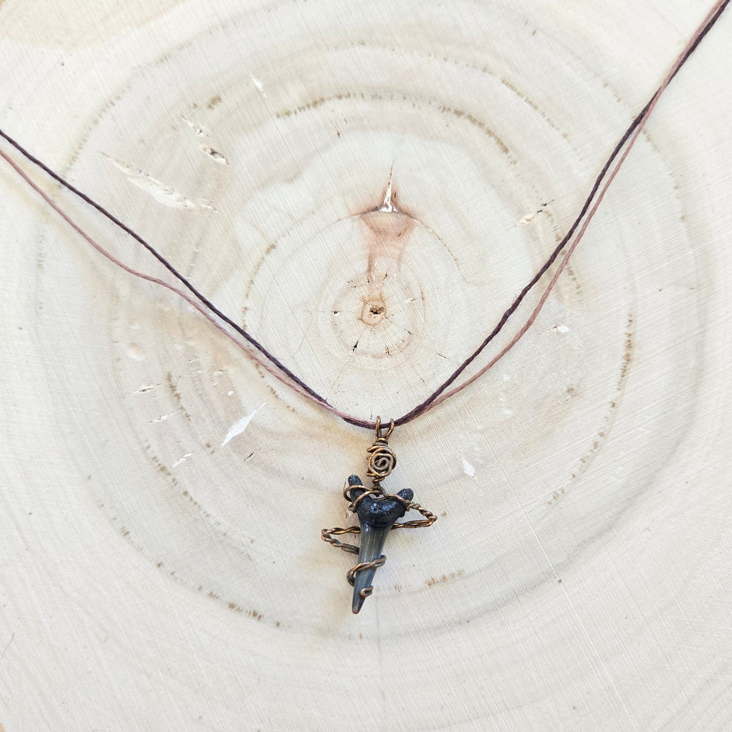 Fossilized Sand Tiger Shark Tooth Necklace Double cord 19"