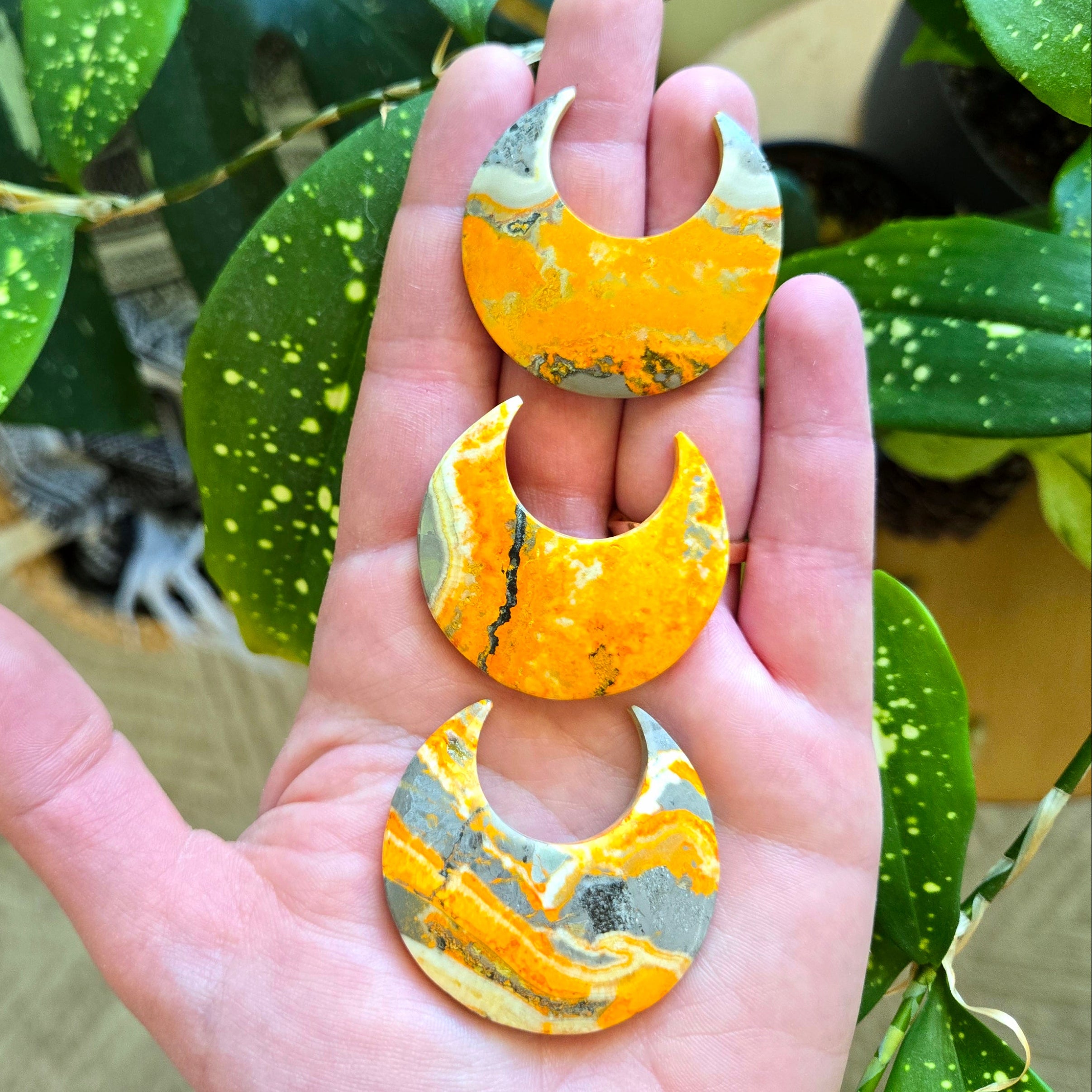 Bumblebee Jasper Moons