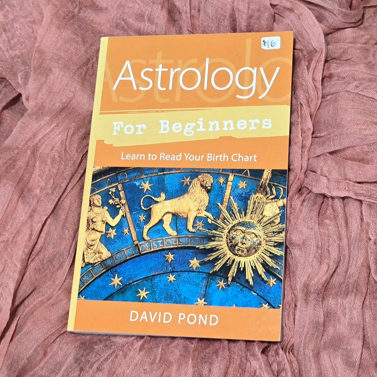 Astrology for Beginners by David Pond