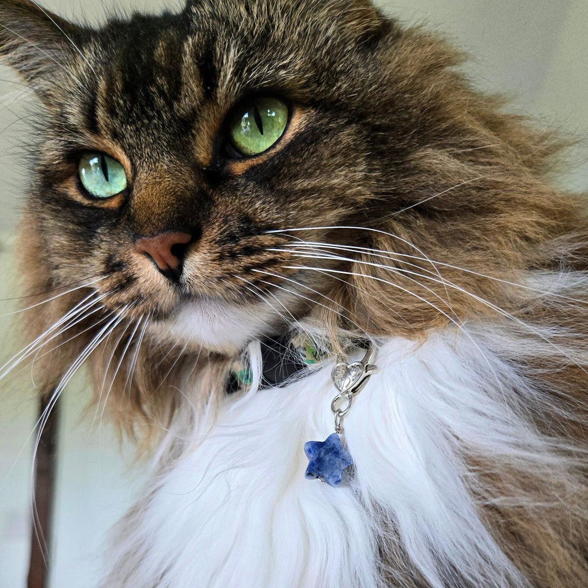 Pet Collar & Purse Charms